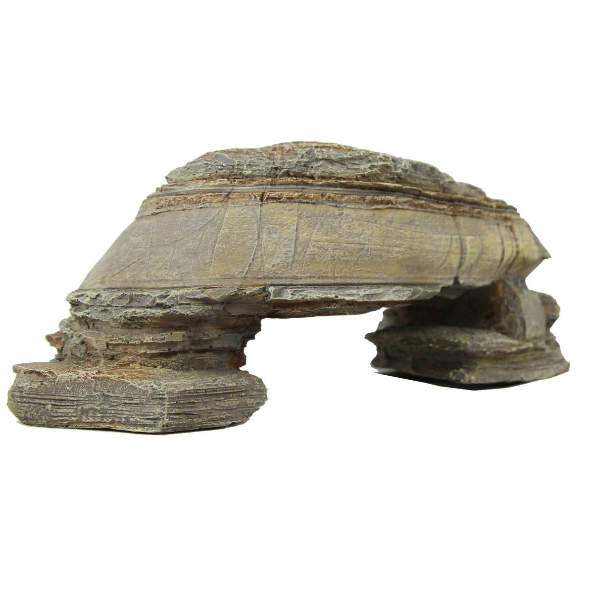 product/r/e/reptiles-planet_rp876216_vert_5.jpg