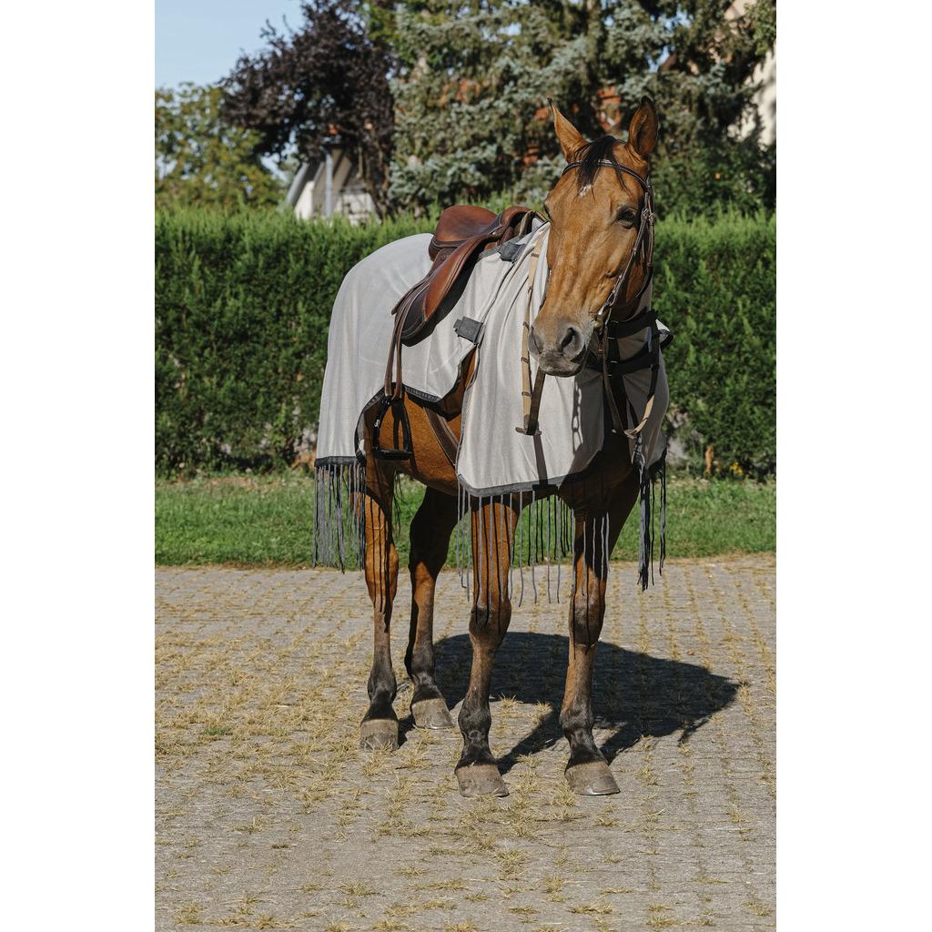 product/r/i/riding-world_400_703_063_ambi1.jpg