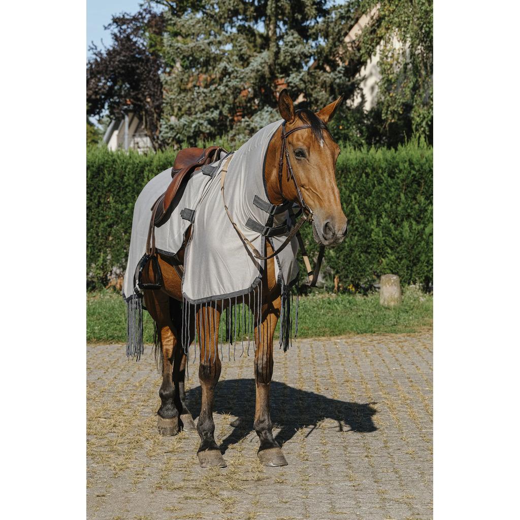 product/r/i/riding-world_400_703_063_ambi2.jpg