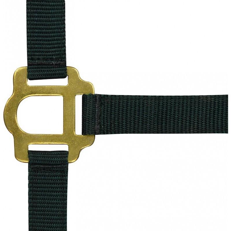 product/r/i/riding-world_510030002.jpg