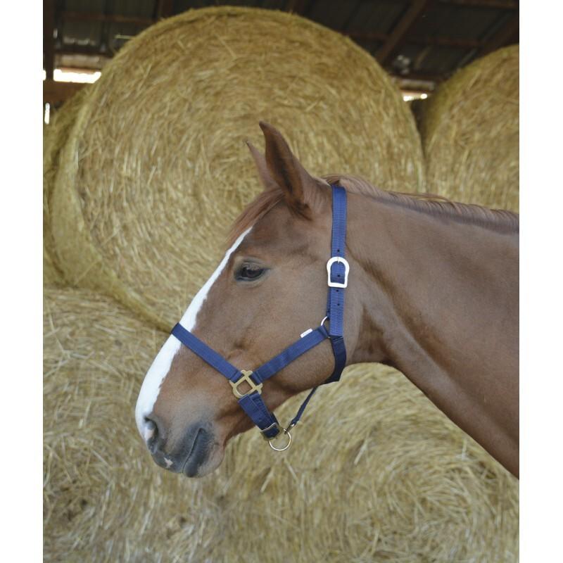 product/r/i/riding-world_510031007_1.jpg