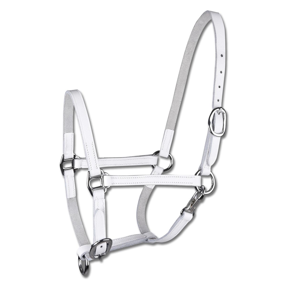 product/s/t/star_50436202-sh_blanc_1.jpg