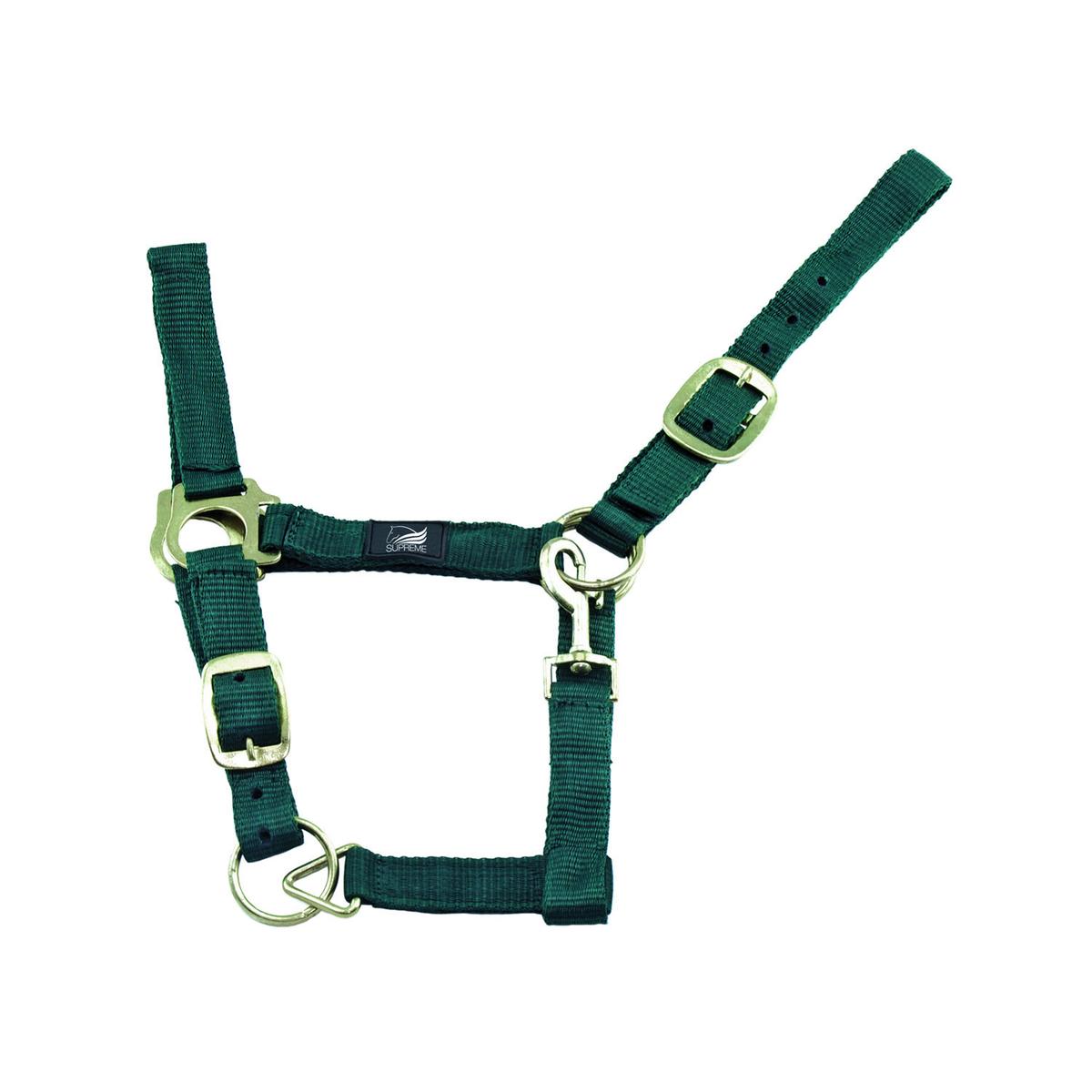 product/s/u/supreme_ca00011-huntergreen_ca00011-huntergreen_1.jpg
