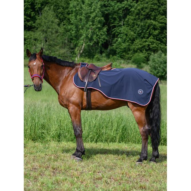 product/t/o/tommy-hilfiger-equestrian_th15hrug910-004_desert-sky_5.jpg