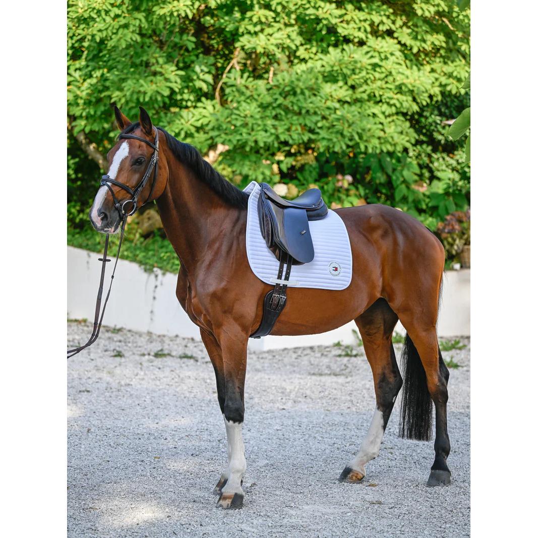 product/t/o/tommy-hilfiger-equestrian_th16hsap072-001_optic-white_4.jpg