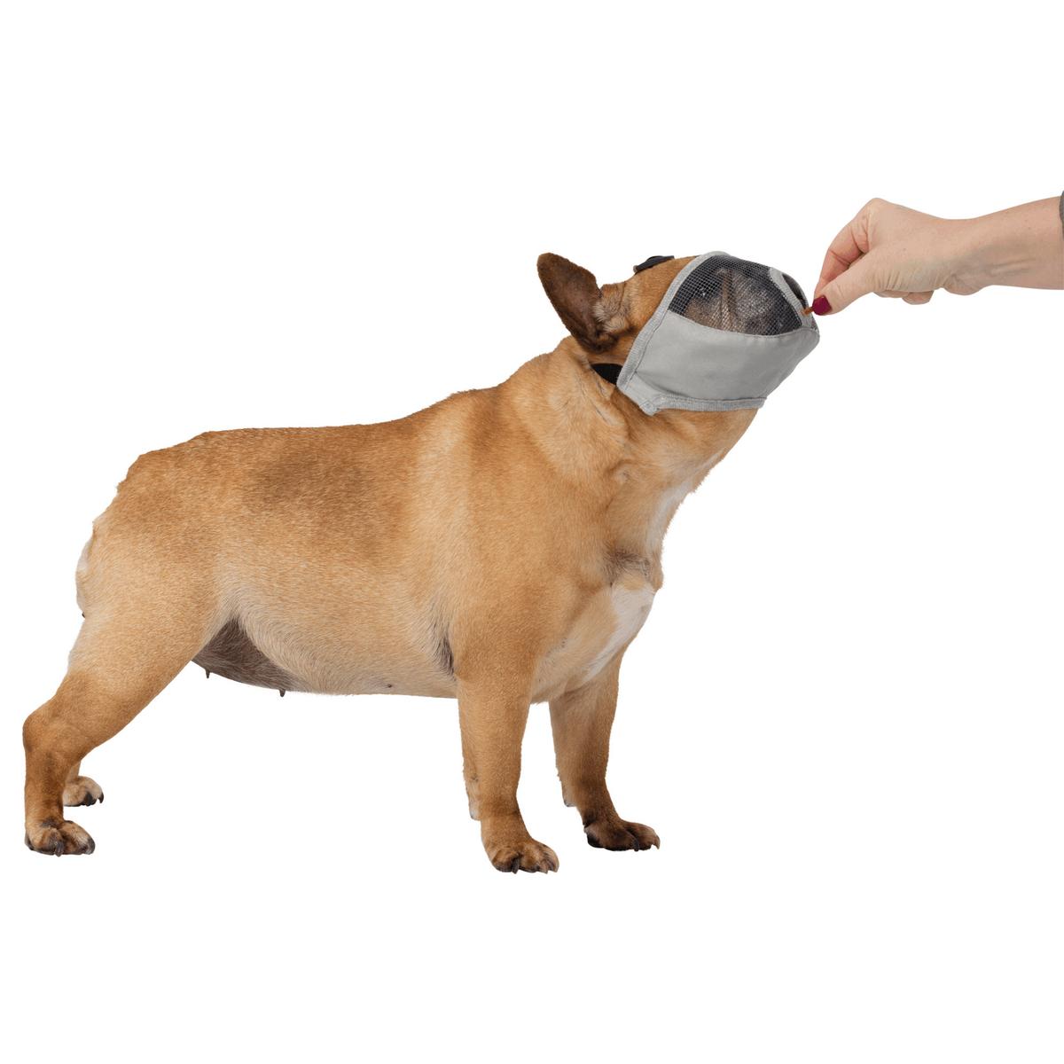 product/t/r/trixie_17625_1.jpg