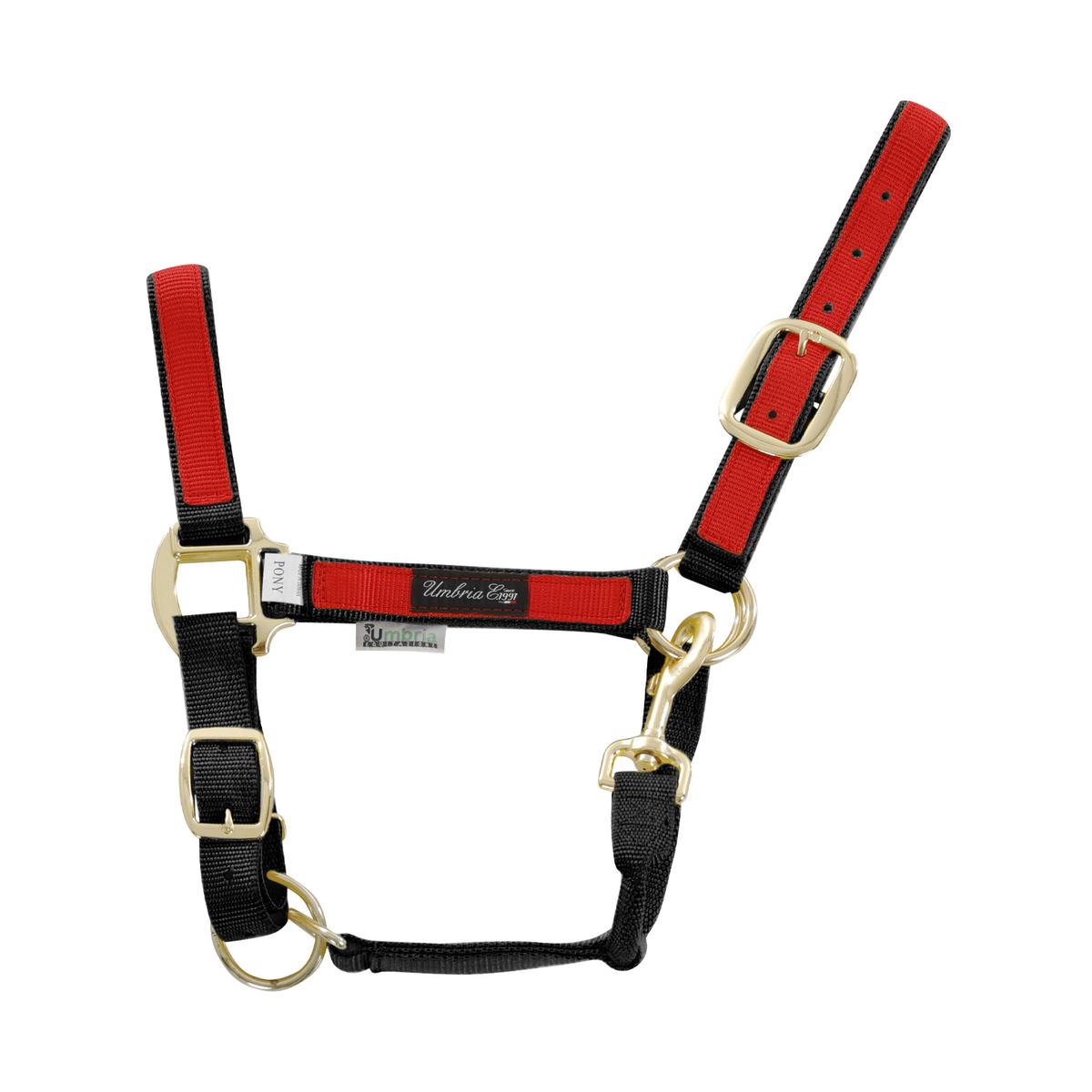 product/u/m/umbria-equitazione_ca00021-black_red_ca00021-black-red_1.jpg
