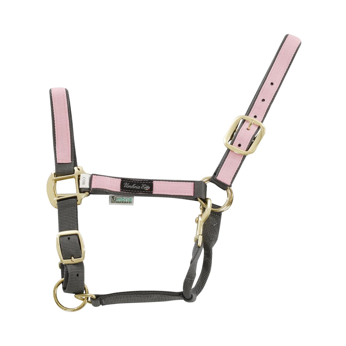 product/u/m/umbria-equitazione_ca00021-grey_pink_ca00021-grey-pink_1.jpg