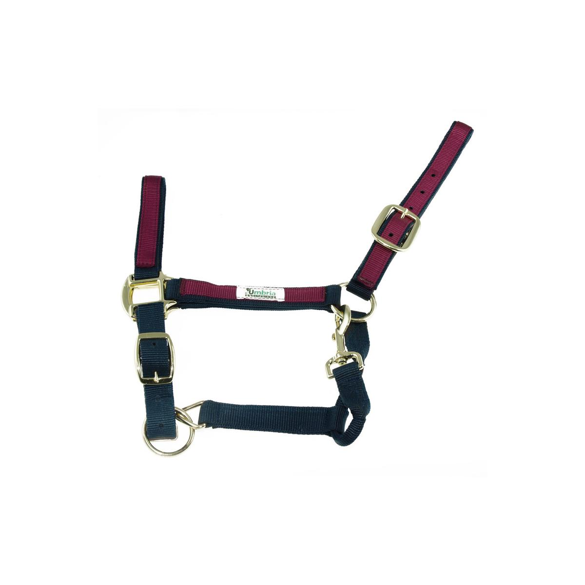 product/u/m/umbria-equitazione_ca00021-navy_burgundy_ca00021-navy-burgundy_1.jpg