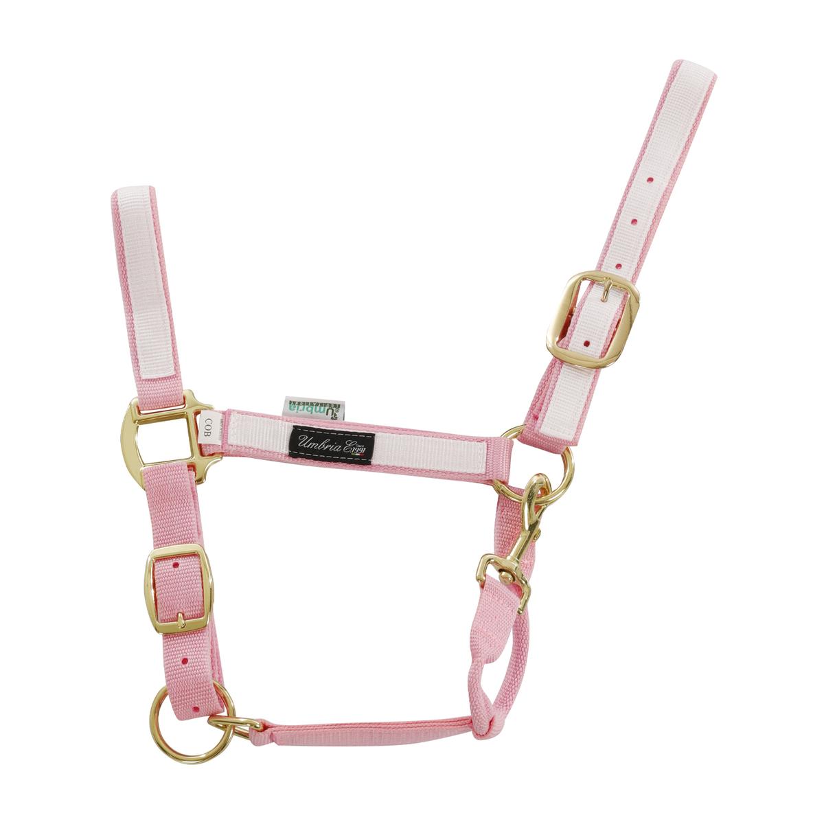 product/u/m/umbria-equitazione_ca00021-pink_white_ca00021-pink-white_1.jpg
