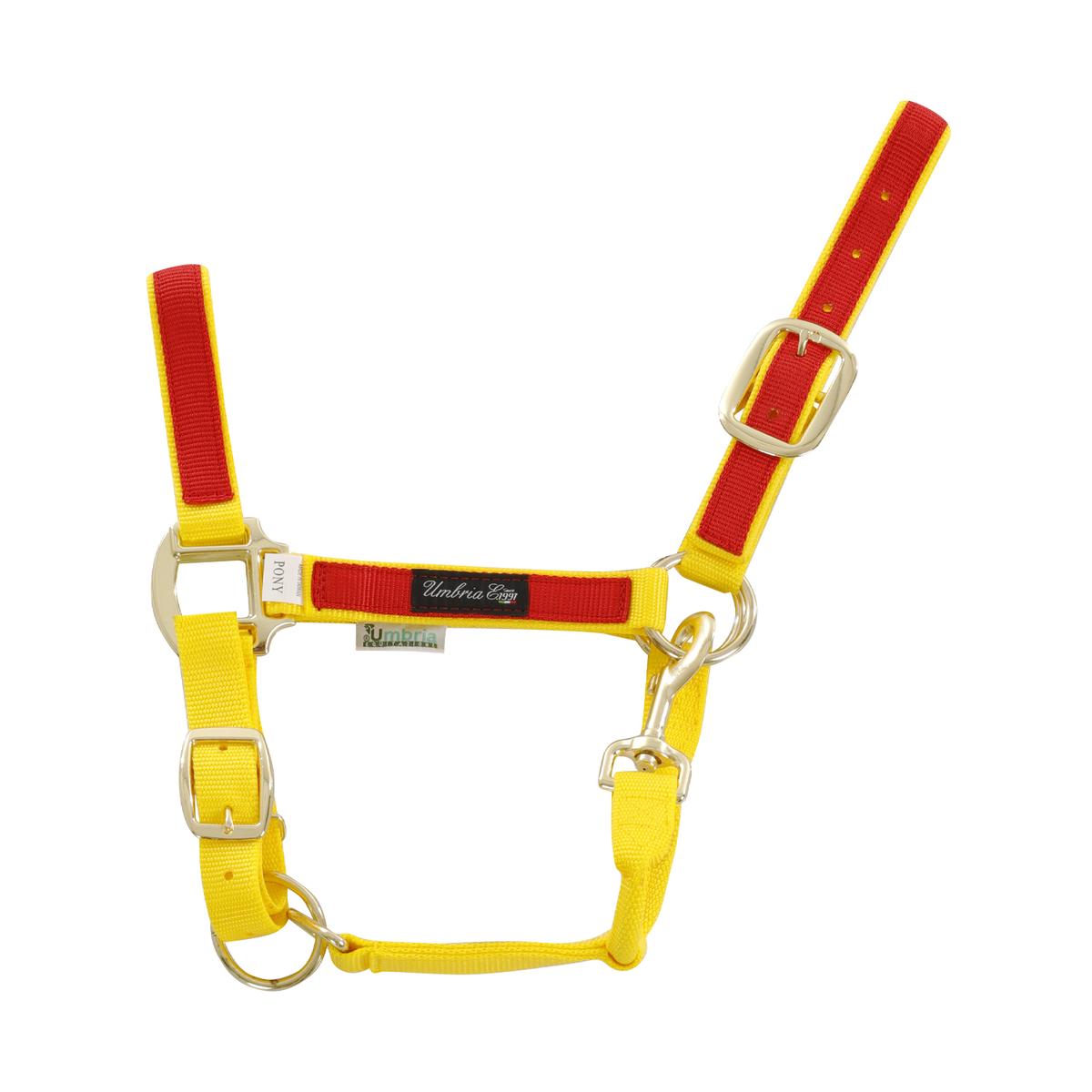 product/u/m/umbria-equitazione_ca00021-yellow_red_ca00021-yellow-red_1.jpg