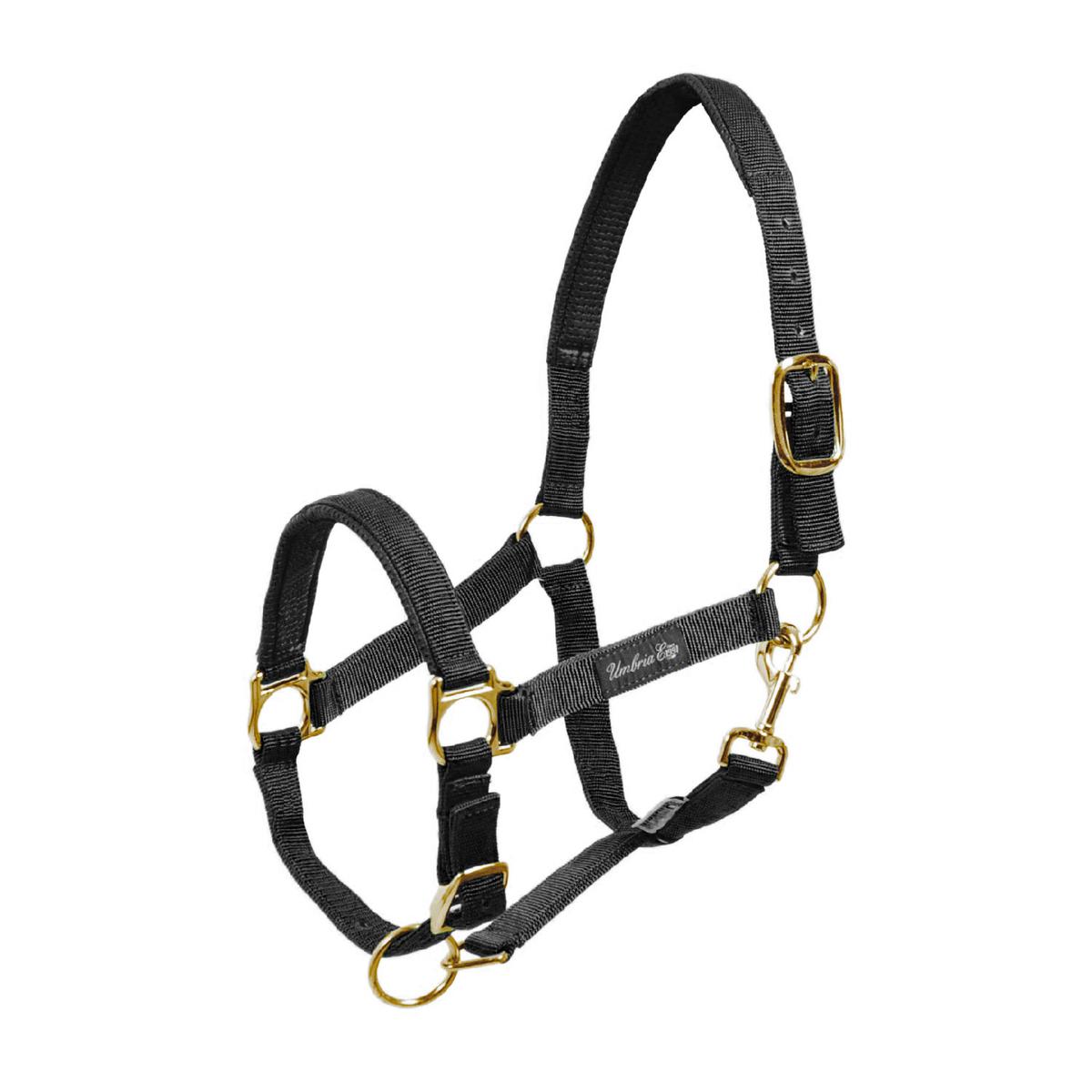 product/u/m/umbria-equitazione_ca00022-black_ca00022-black_1.jpg