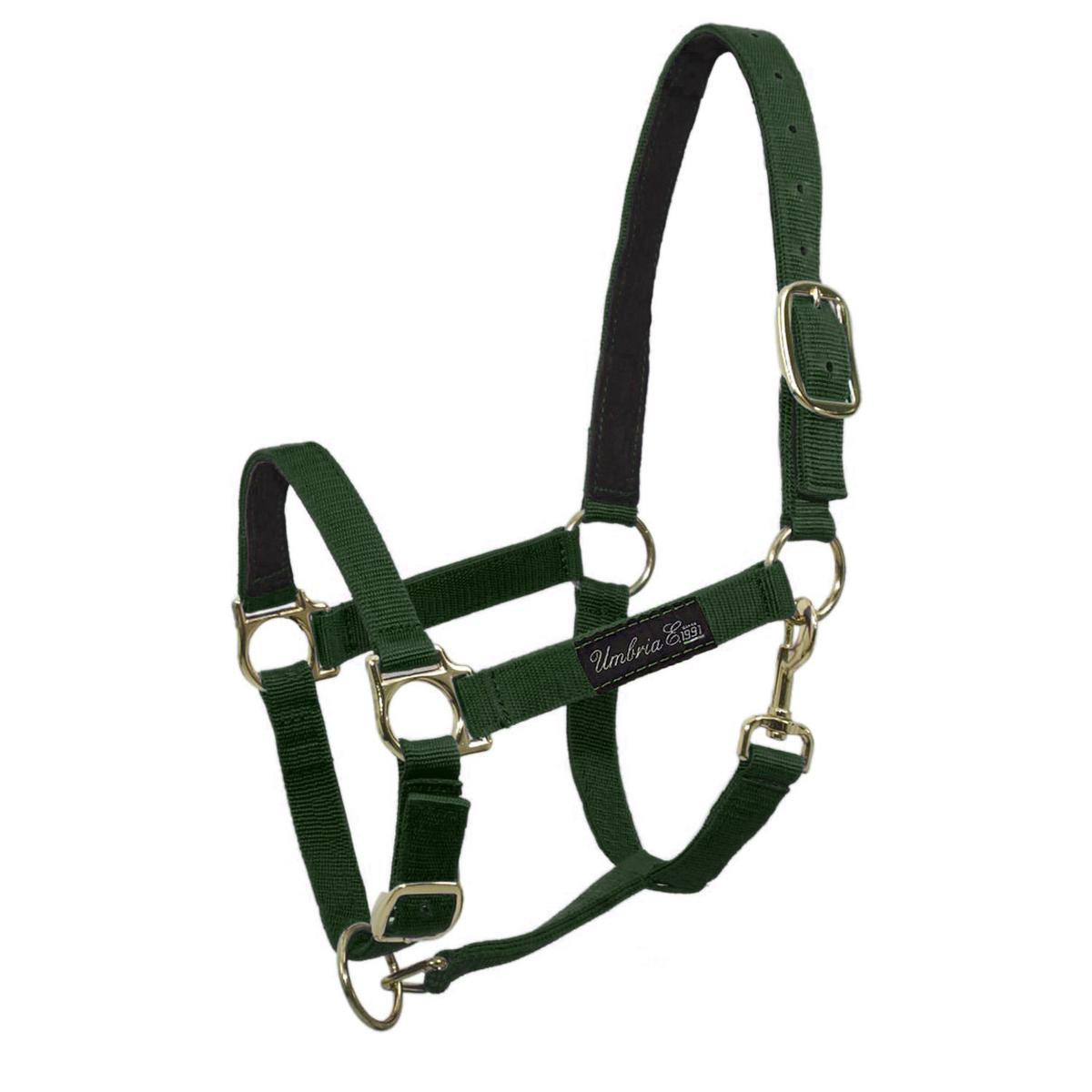 product/u/m/umbria-equitazione_ca00040-green_ca00040-green_1.jpg