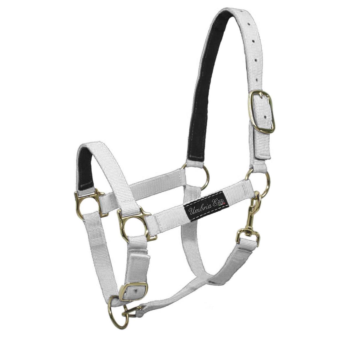 product/u/m/umbria-equitazione_ca00040-white_ca00040-white_1.jpg