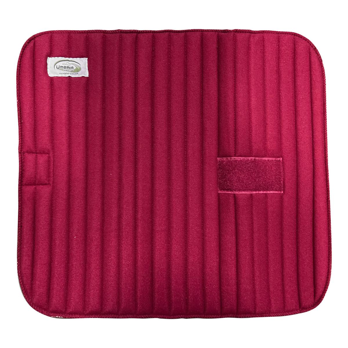 product/u/m/umbria-equitazione_pr00019-burgundy_pr00019-burgundy_1.jpg
