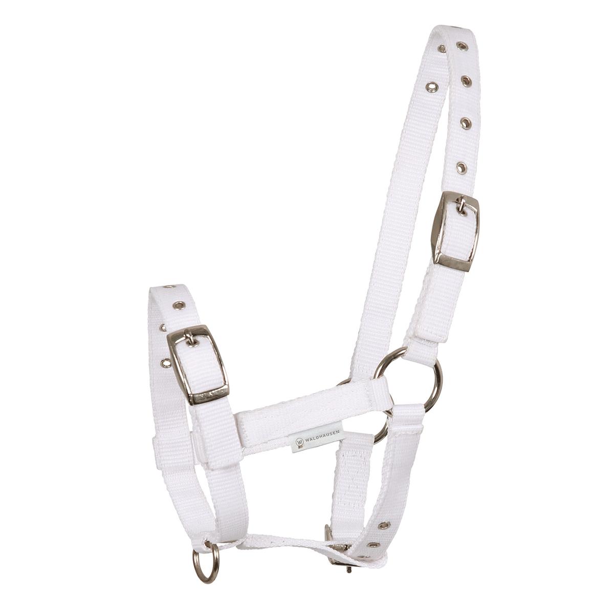 product/w/a/waldhausen_5044302_blanc_1.jpg