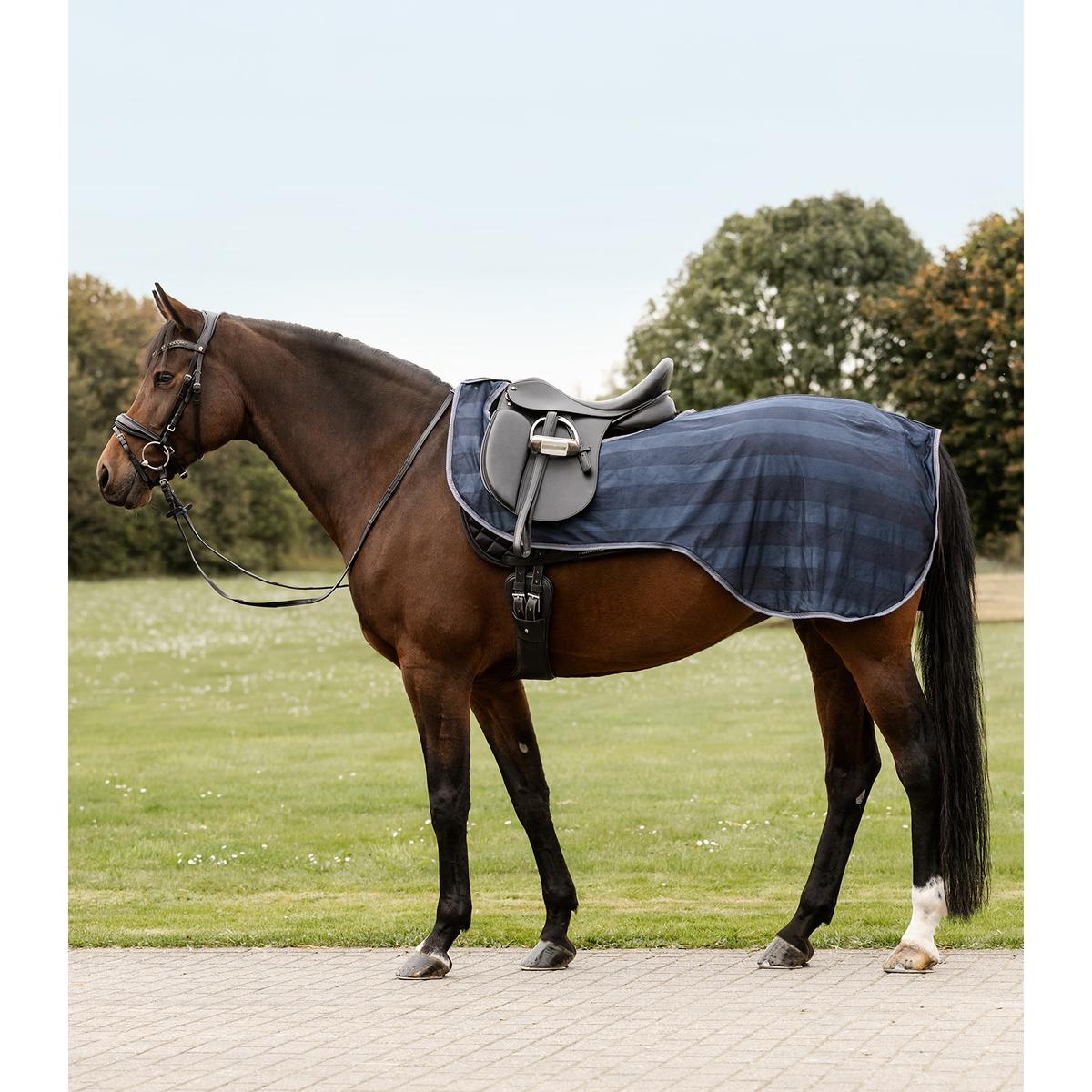 product/w/a/waldhausen_6332205-pon_bleu-nocturne_1.jpg