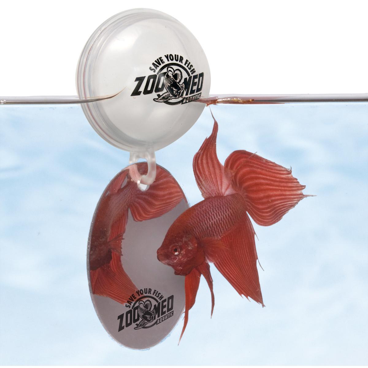 product/z/o/zoomed_387971.jpg