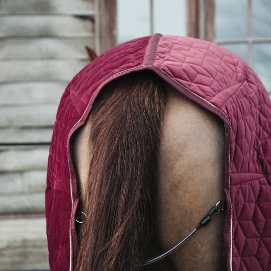 product/4/8/485a9985-e8502ded370e565d04389cf2c54c4715-article-photobook-crop.jpg