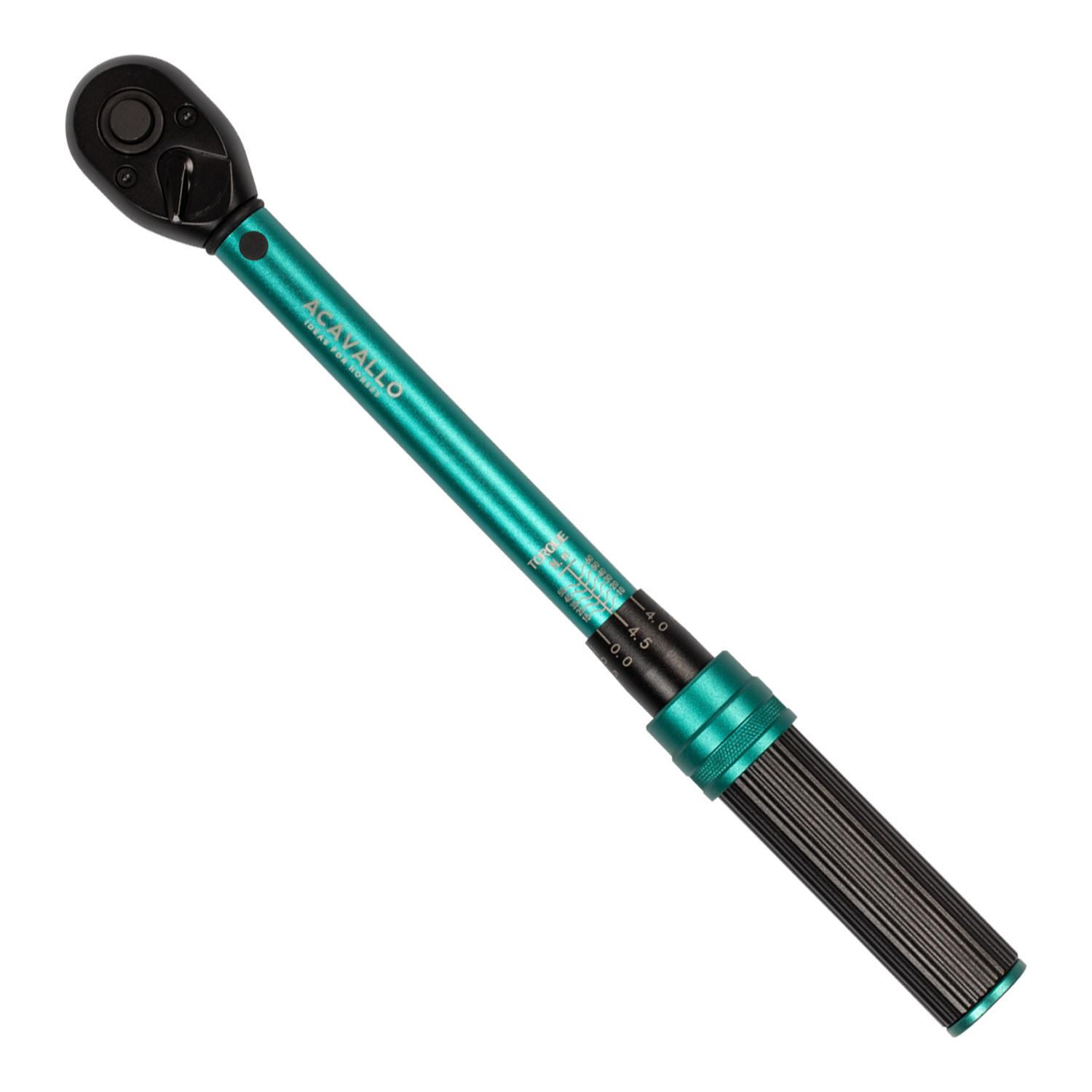 product/a/c/acavallo_ac619-green_green_1.jpg