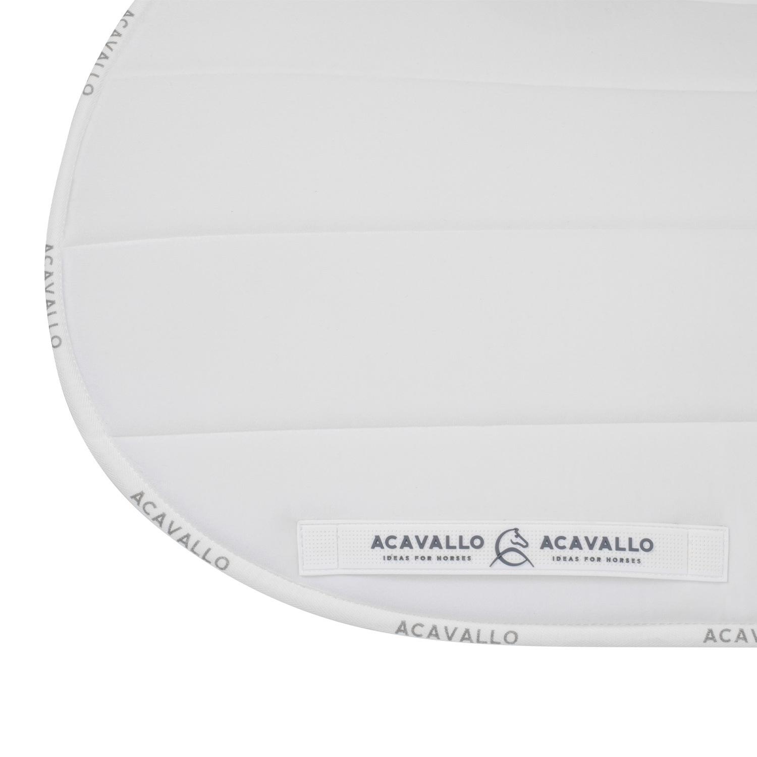 product/a/c/acavallo_ac866-white_white_4.jpg