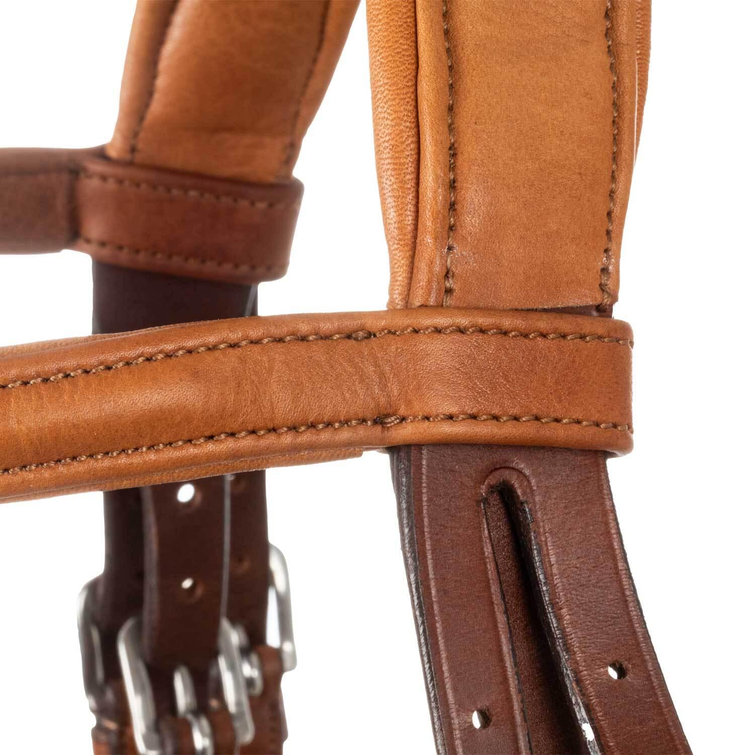 product/a/c/acavallo_ac9510-cognac_cognac_5.jpg