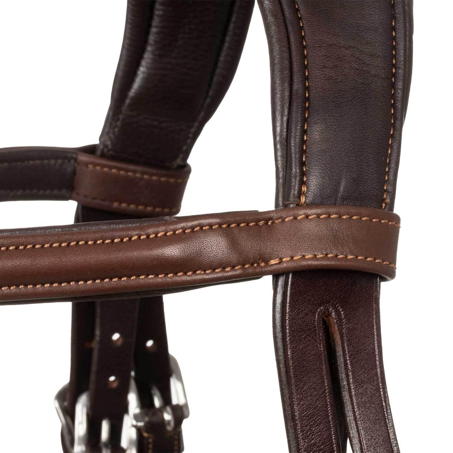 product/a/c/acavallo_ac9510-darkbrown_darkbrown_5.jpg