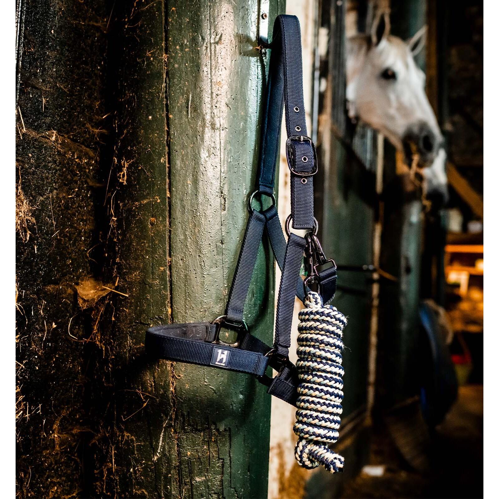 product/a/m/amigo_dhhx11-vrkb-co_witney-navy_2.jpg