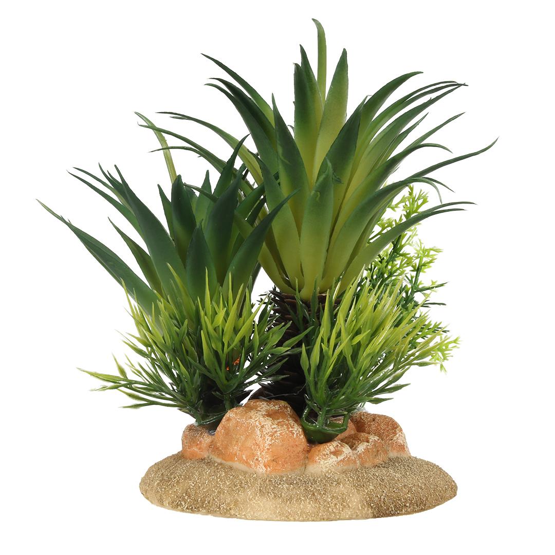 product/a/q/aqua-della_234-448816_4.jpg