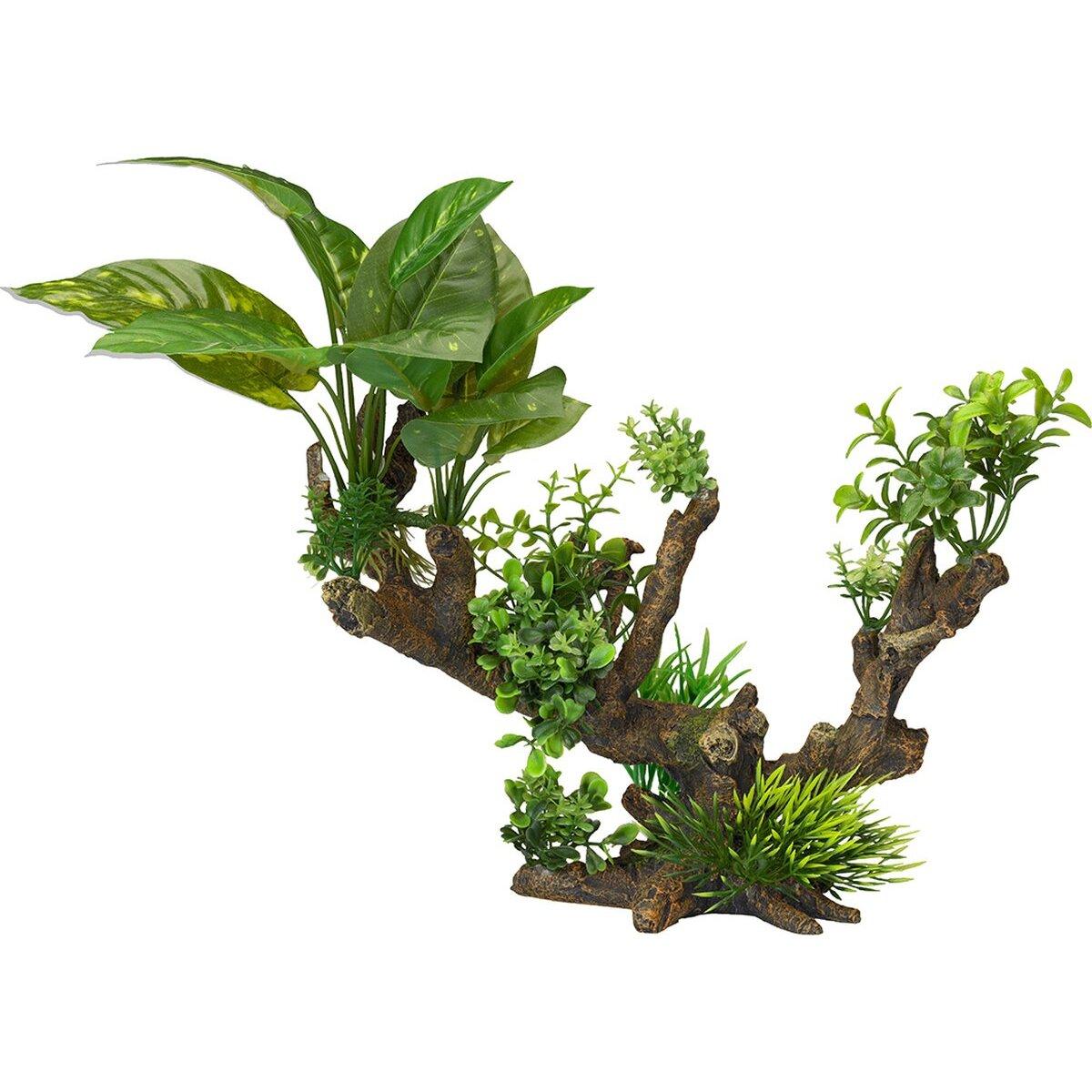 product/a/q/aqua-della_234_432099_vert_1.jpg