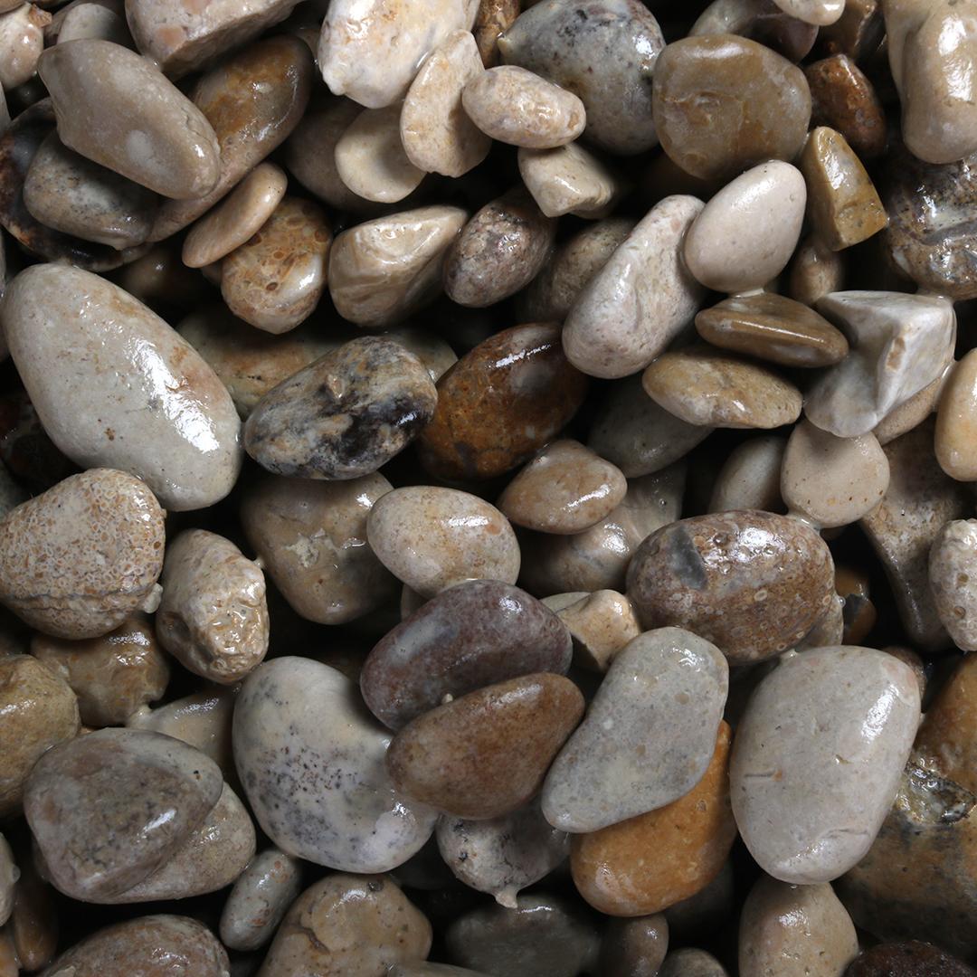 product/a/q/aqua-della_257-447611.jpg