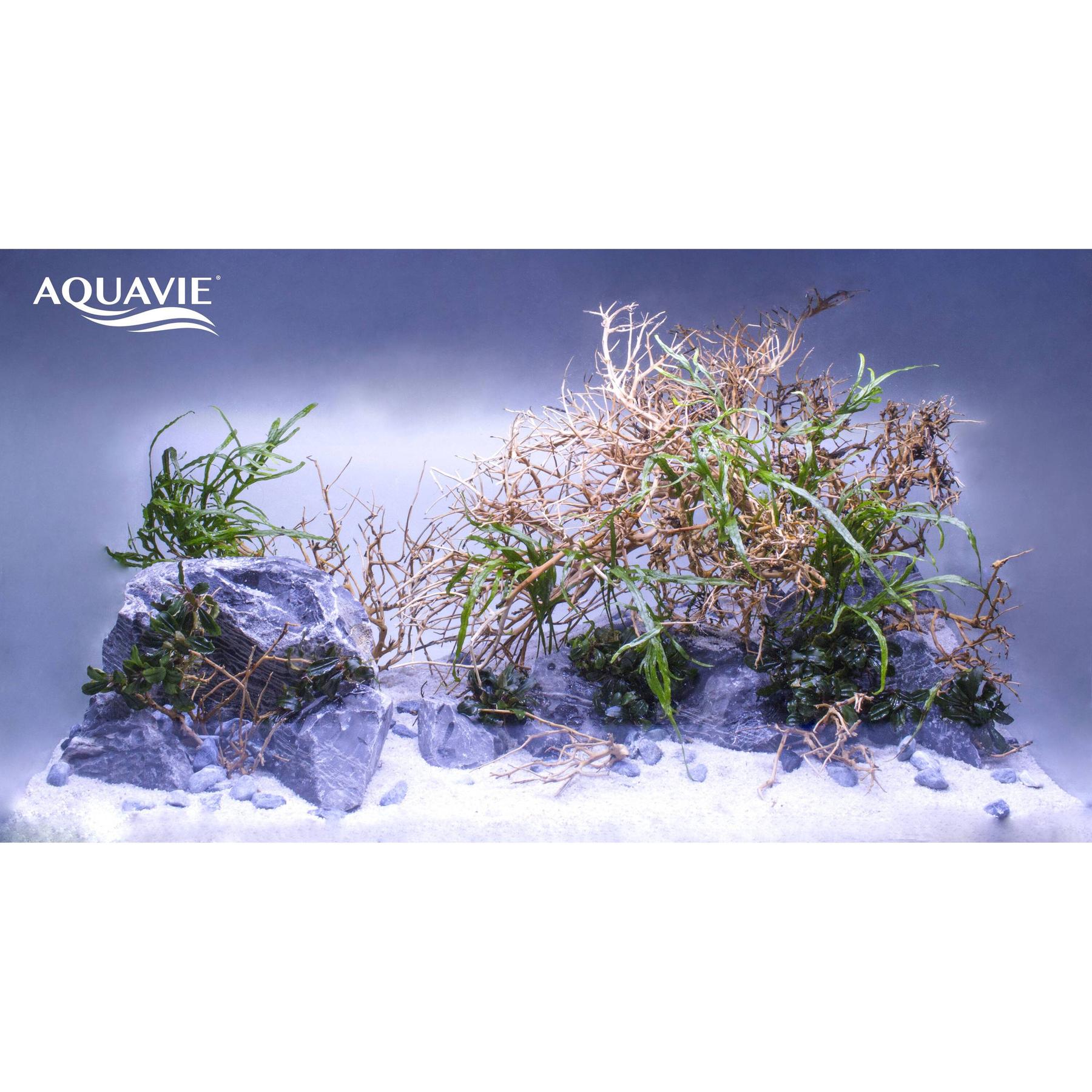 product/a/q/aquavie_av111280_marron_2.jpg