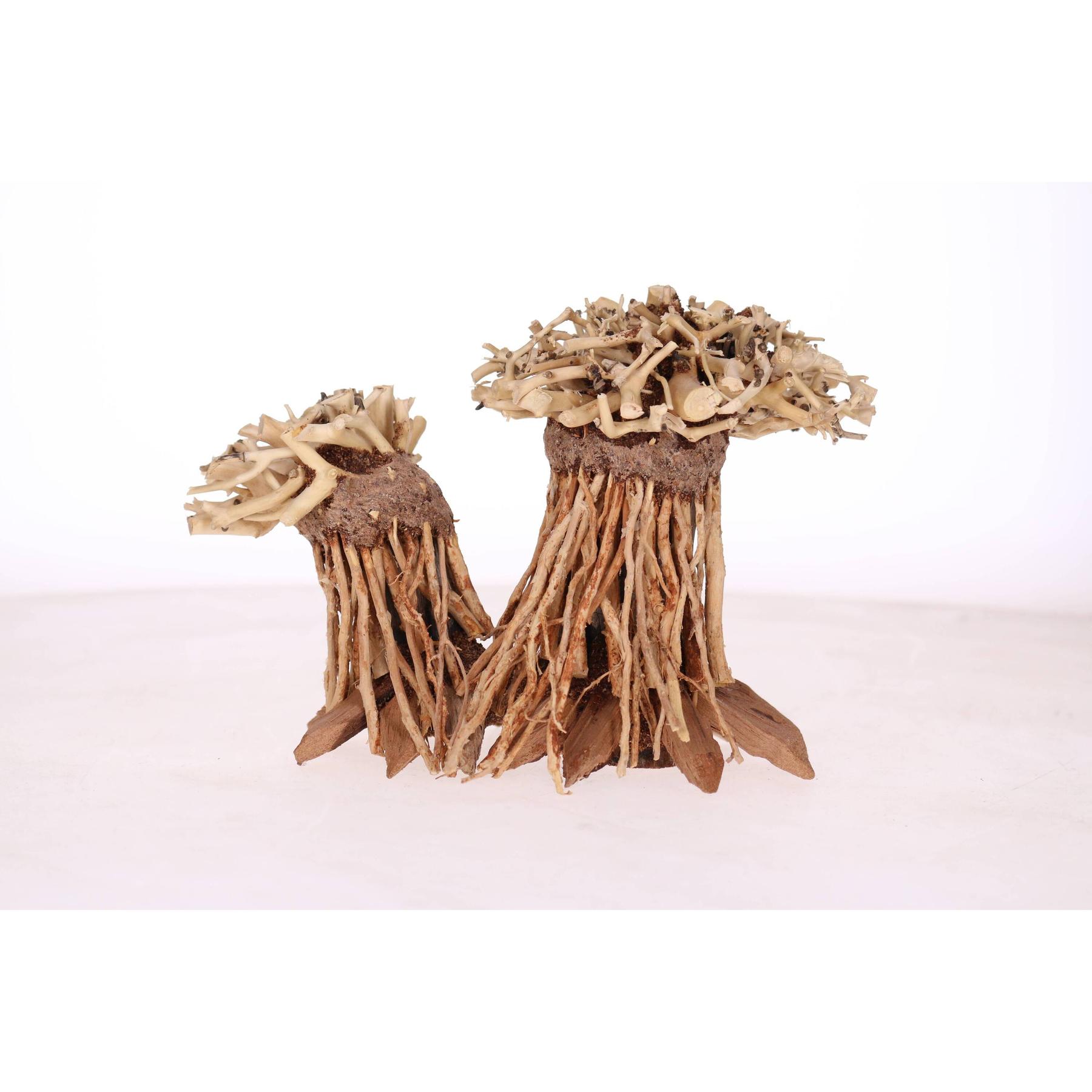 product/a/q/aquavie_av111549_marron_2.jpg