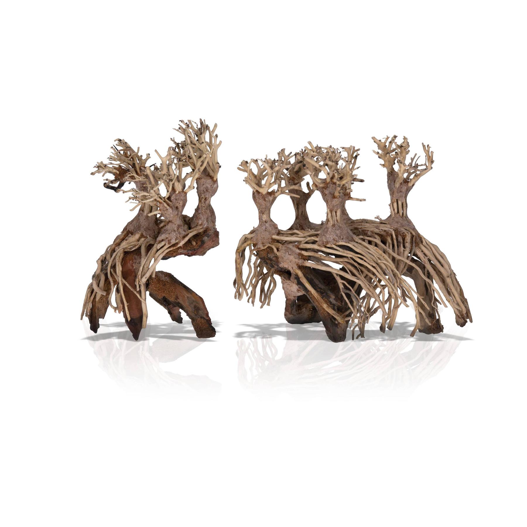 product/a/q/aquavie_av111730_marron_1.jpg
