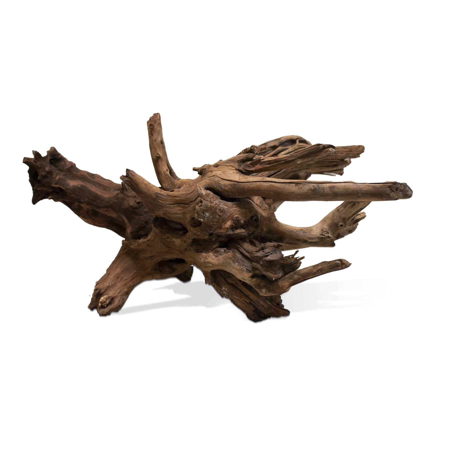product/a/q/aquavie_av211300_marron_1.jpg