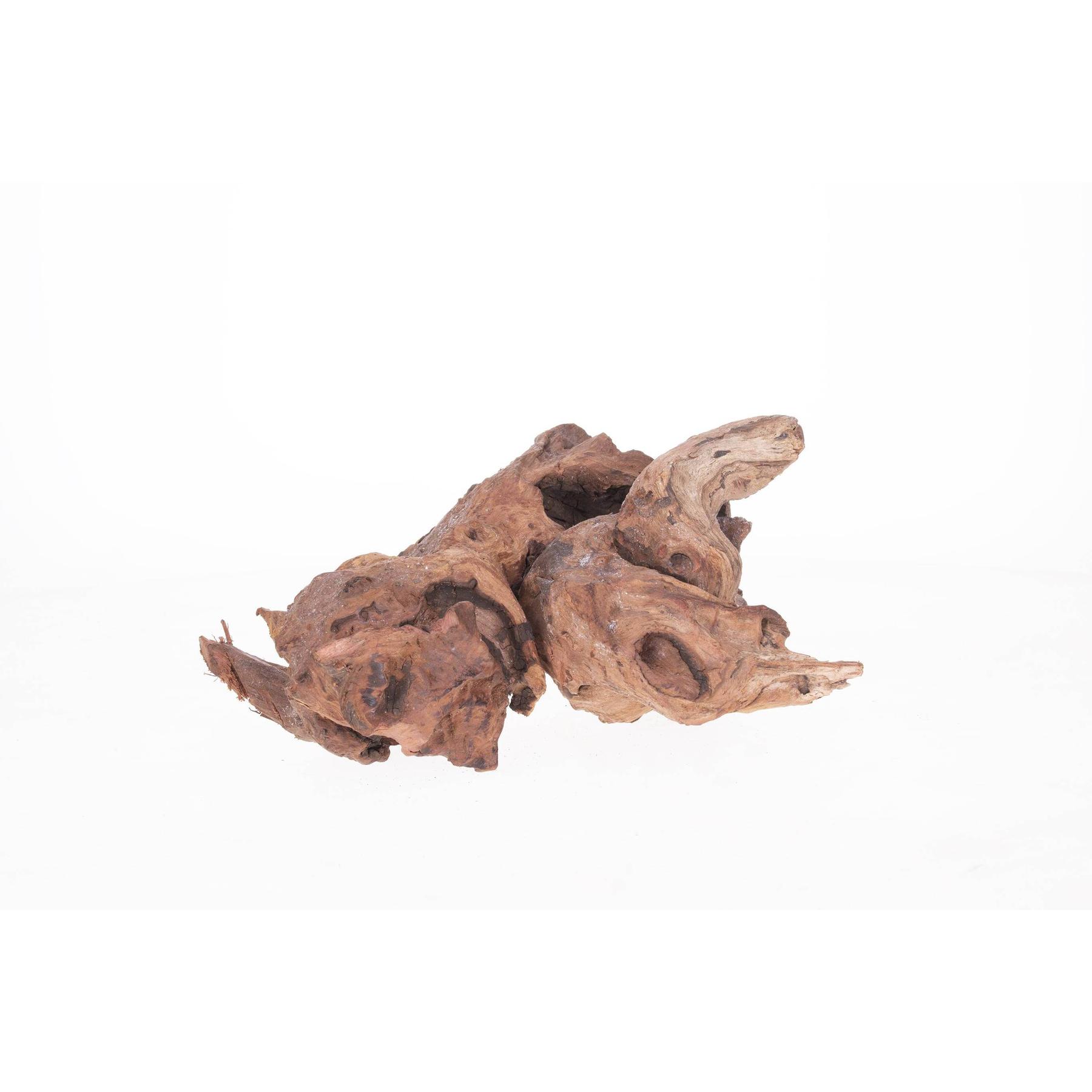 product/a/q/aquavie_av211300_marron_2.jpg
