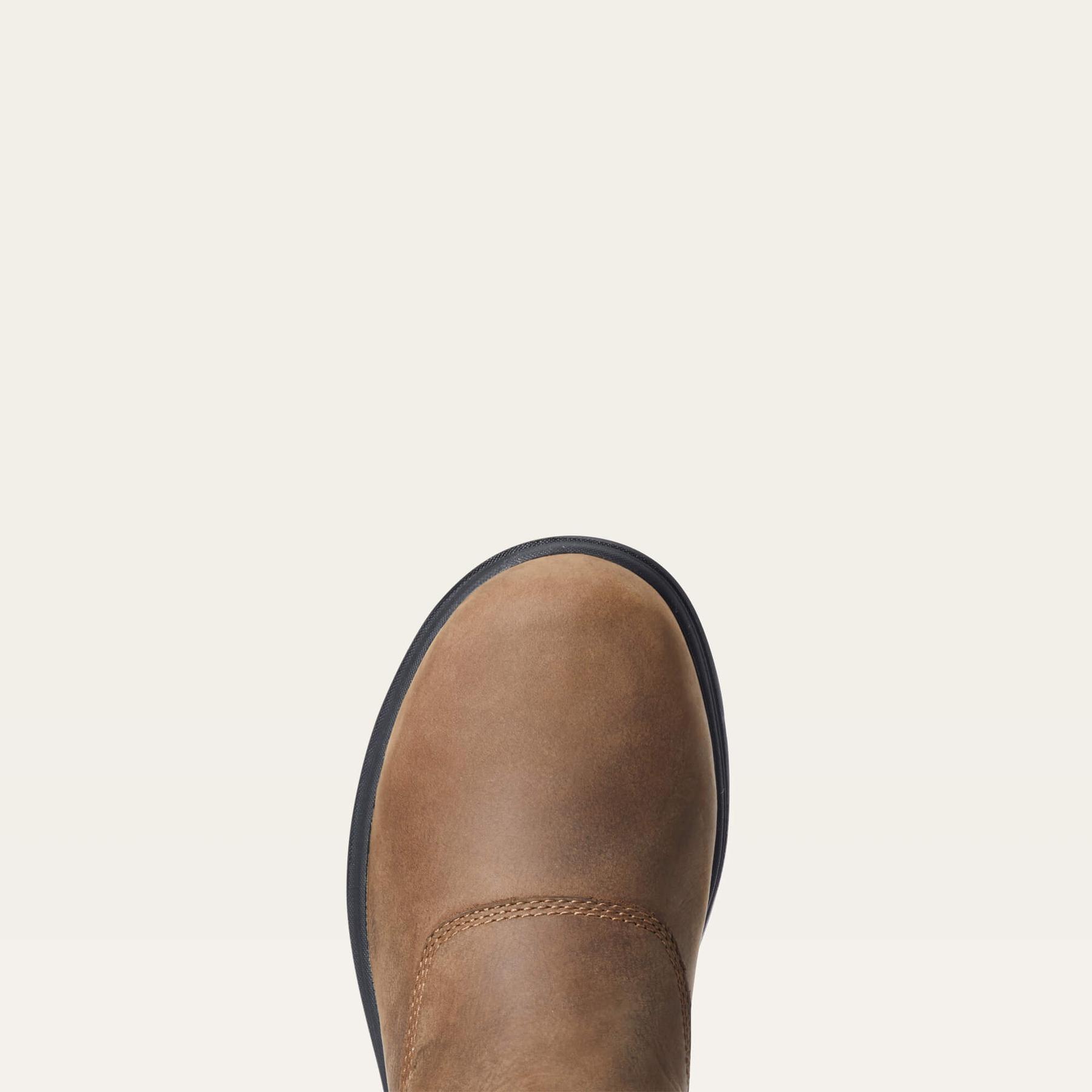 product/a/r/ariat_10033879_2.jpg