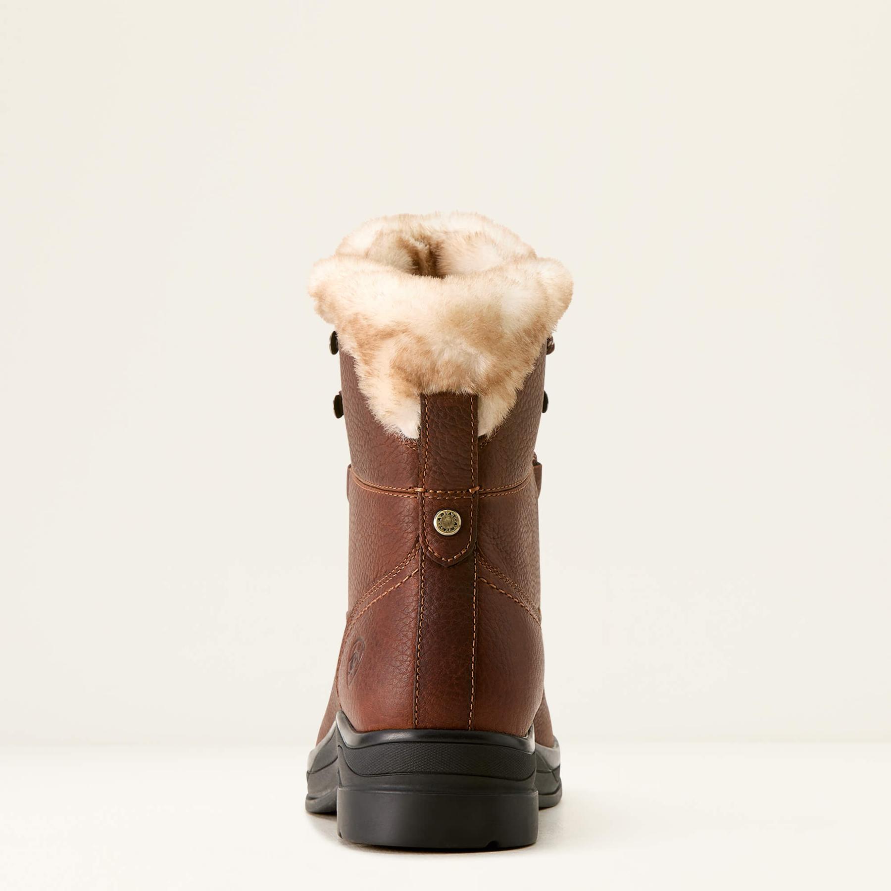 product/a/r/ariat_10053839_dark-brown_4.jpg