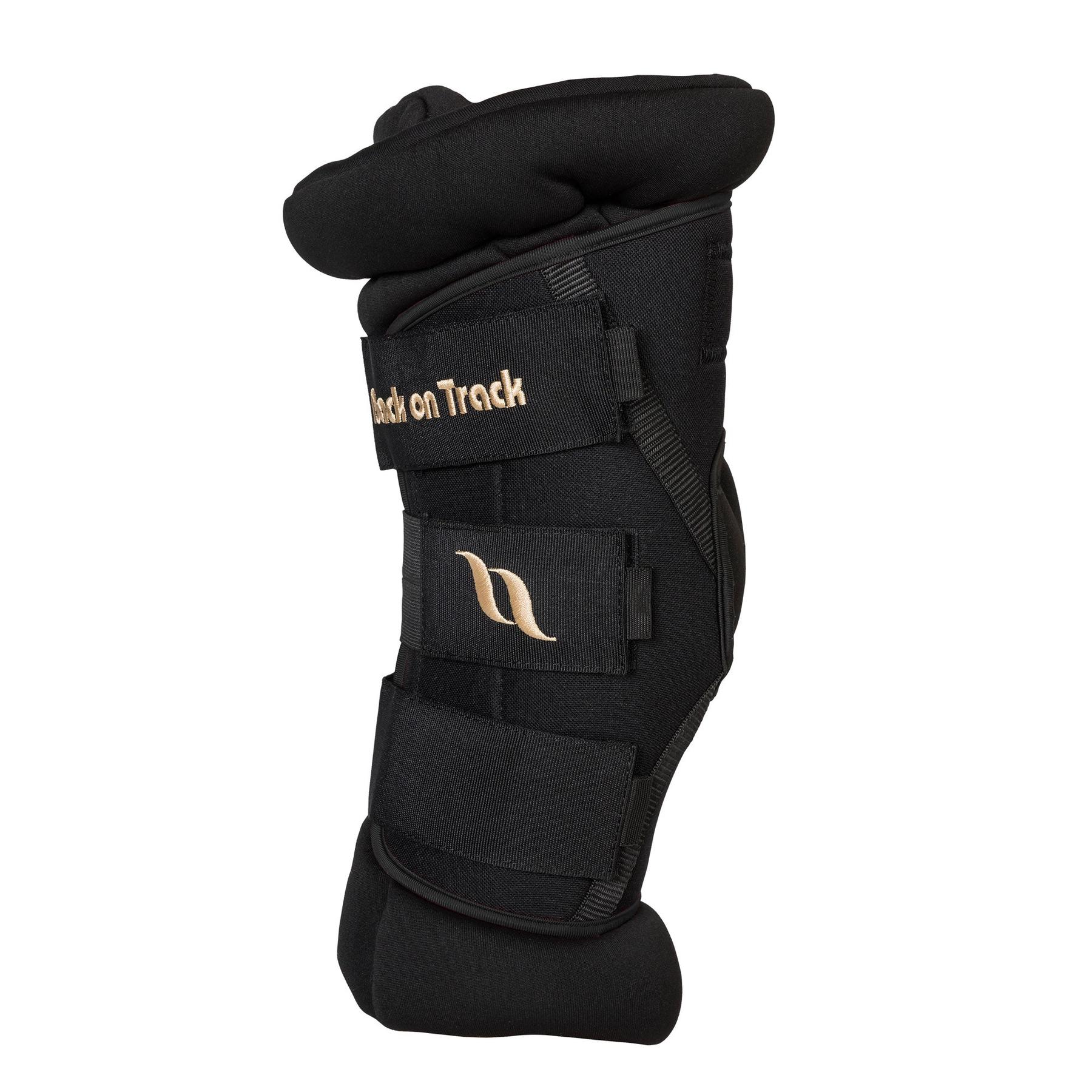 product/b/a/back-on-track_20229001_0.jpg