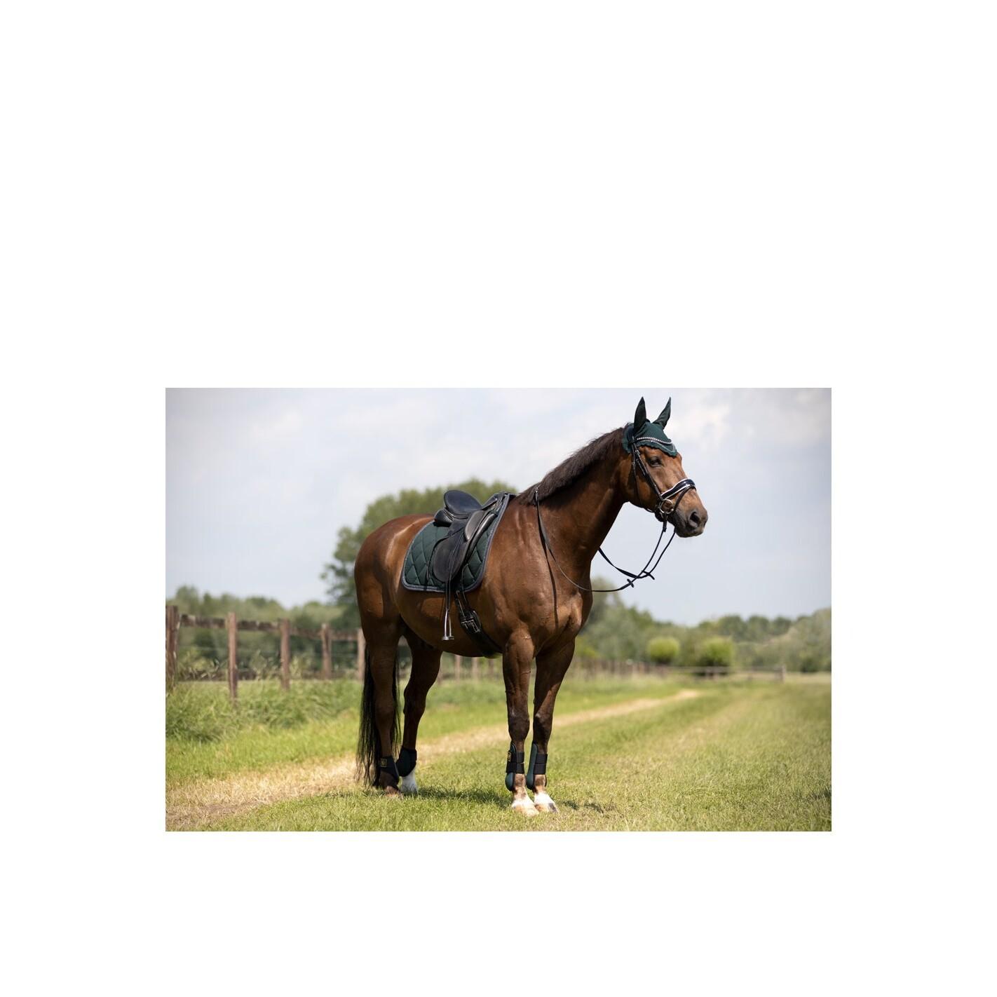 product/b/r/br-equitation_163018-g055-850_green-gables-green_3.jpg