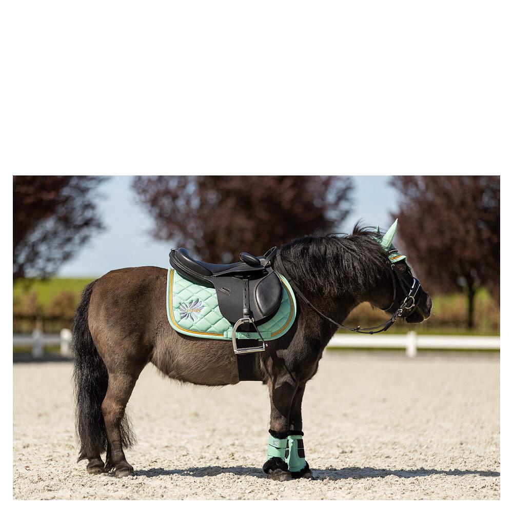 product/b/r/br-equitation_165247-g1128-30_feldspar_5.jpg