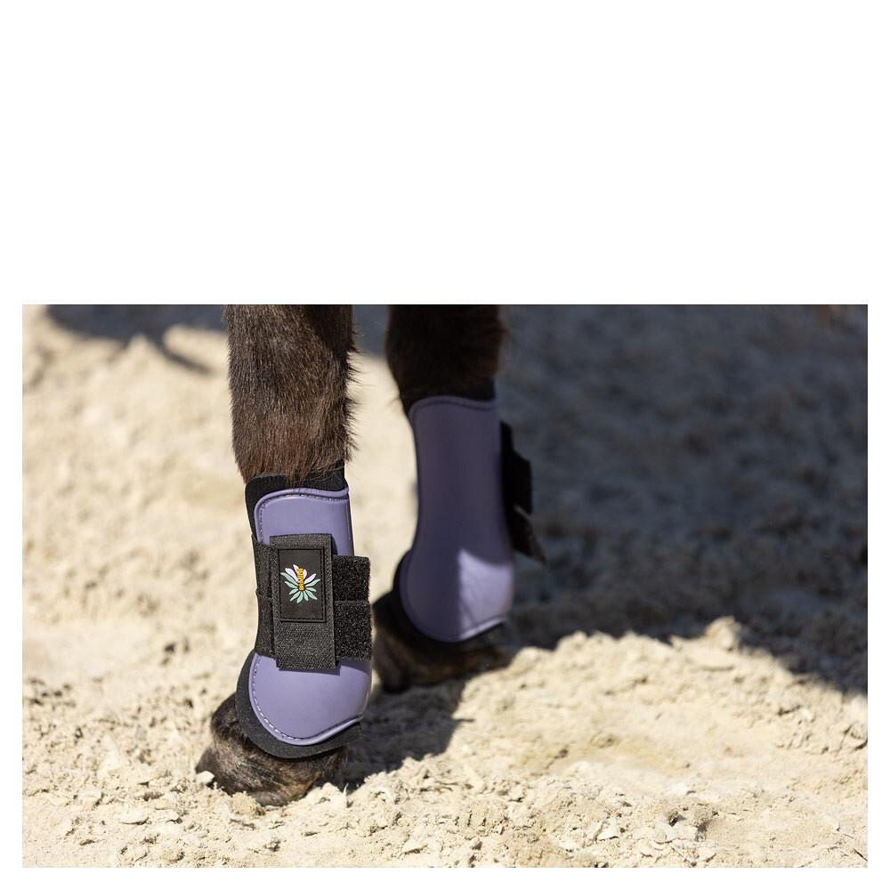 product/b/r/br-equitation_292309-p1198-40_cadet_2.jpg