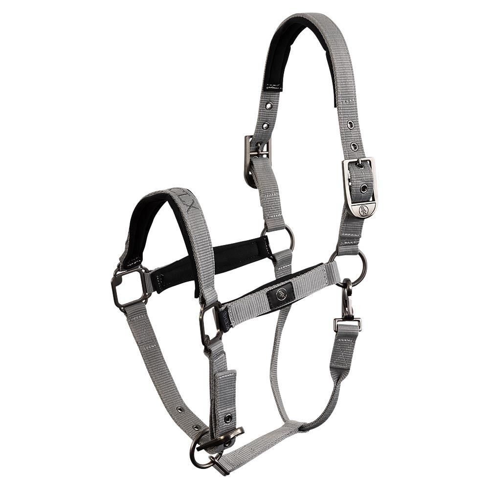 product/b/r/br-equitation_432331-b2478-40_chiseled-stone_1.jpg
