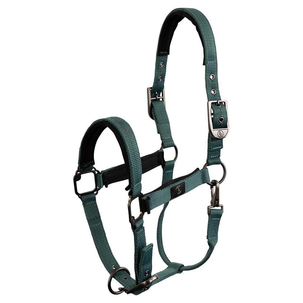 product/b/r/br-equitation_432331-g1068-40_sea-spine_1.jpg