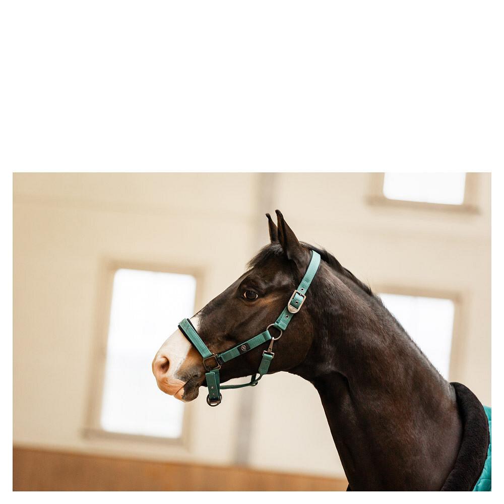 product/b/r/br-equitation_432331-g1068-40_sea-spine_2.jpg