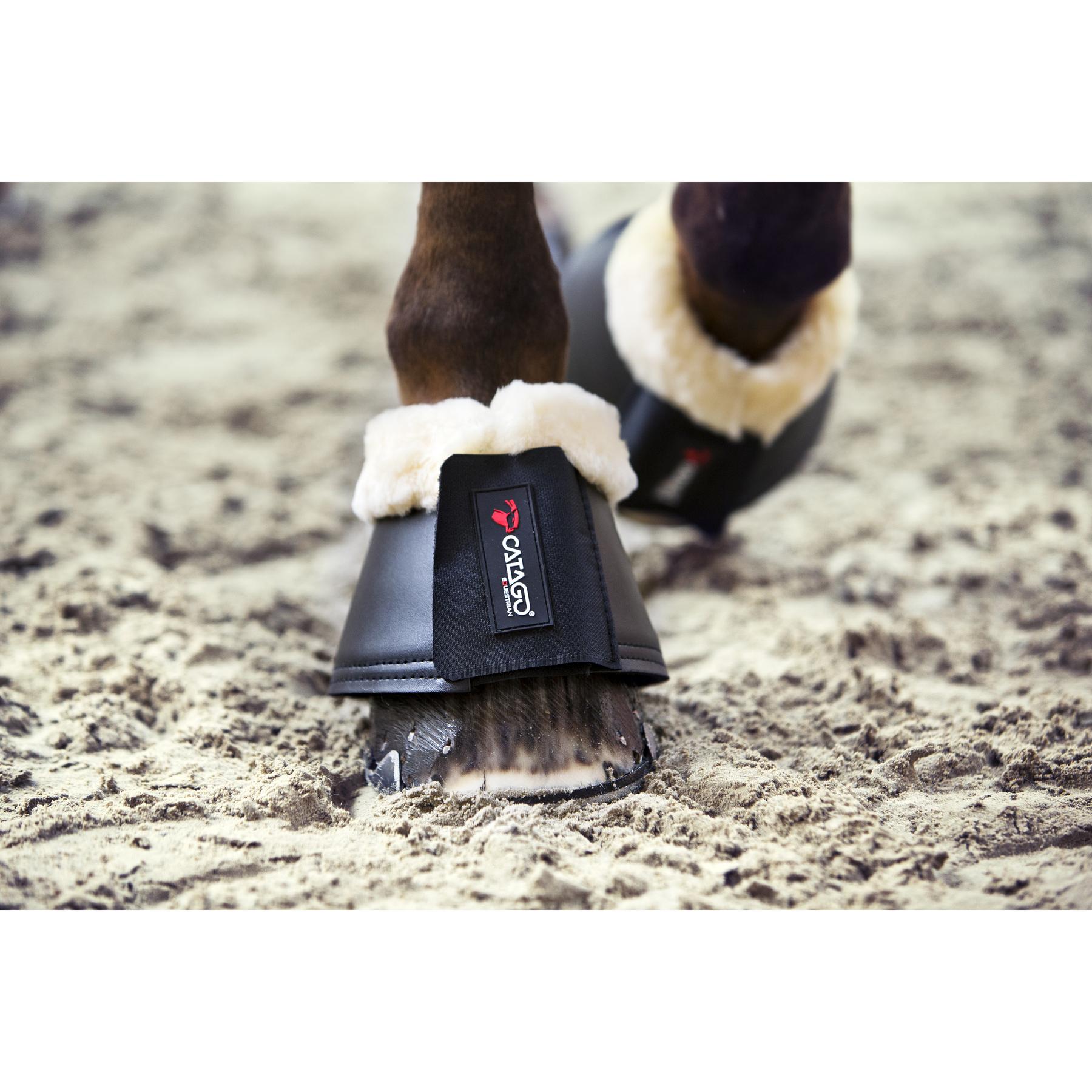 product/c/a/catago_48272001_3.jpg