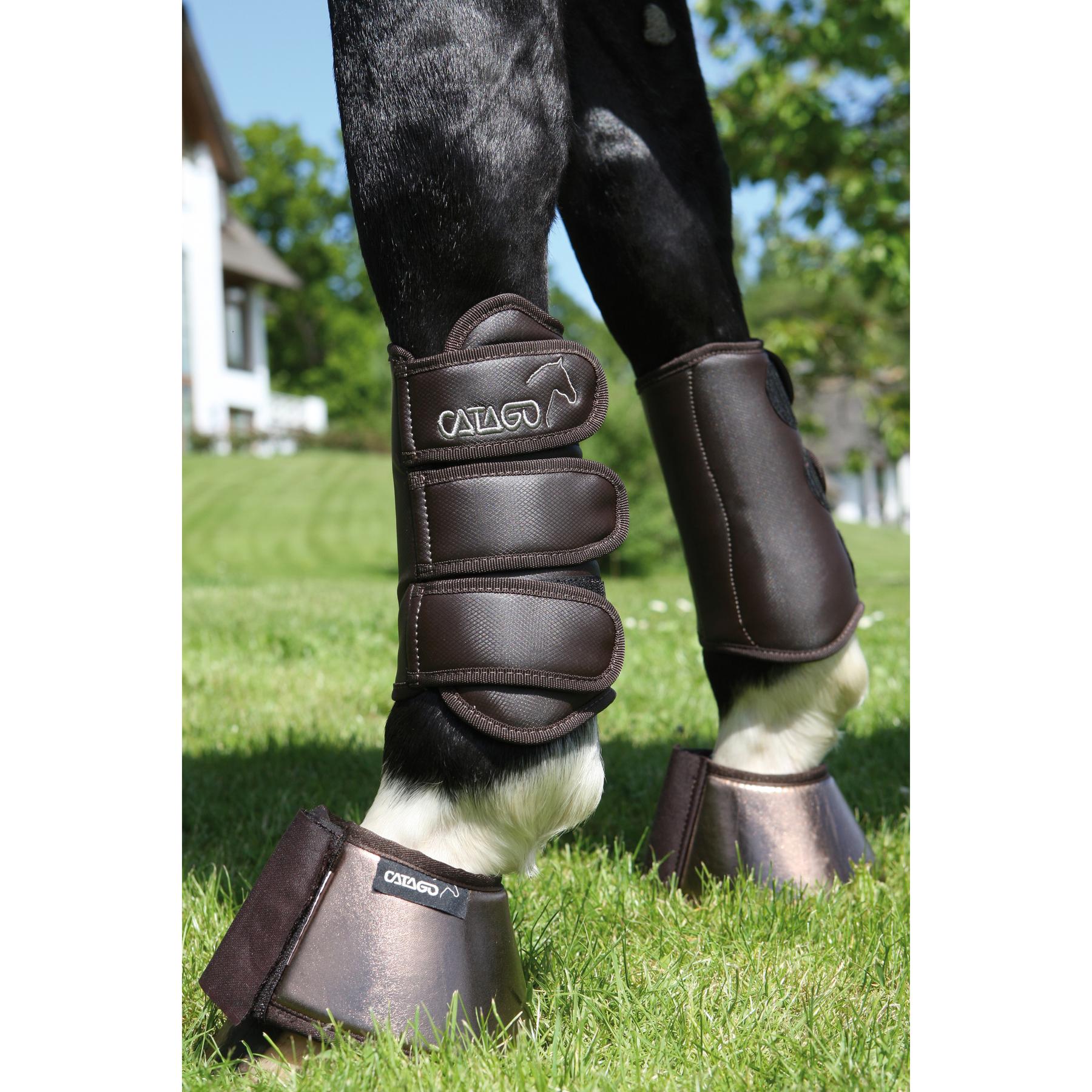 product/c/a/catago_48582002_2.jpg