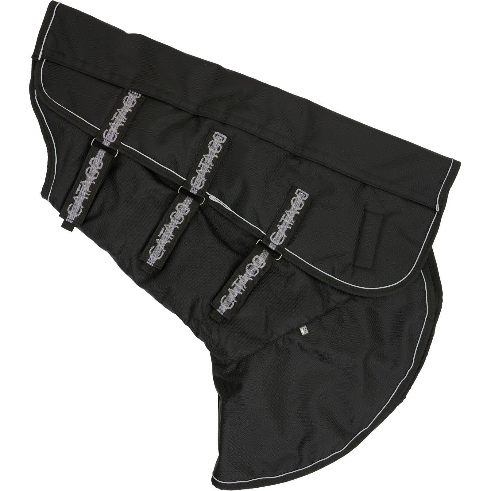 product/c/a/catago_800101501_black_1.jpg