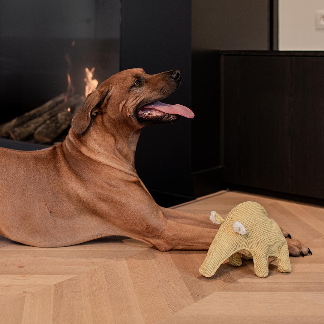 product/d/-/d-d-home_304-450598_1.jpg