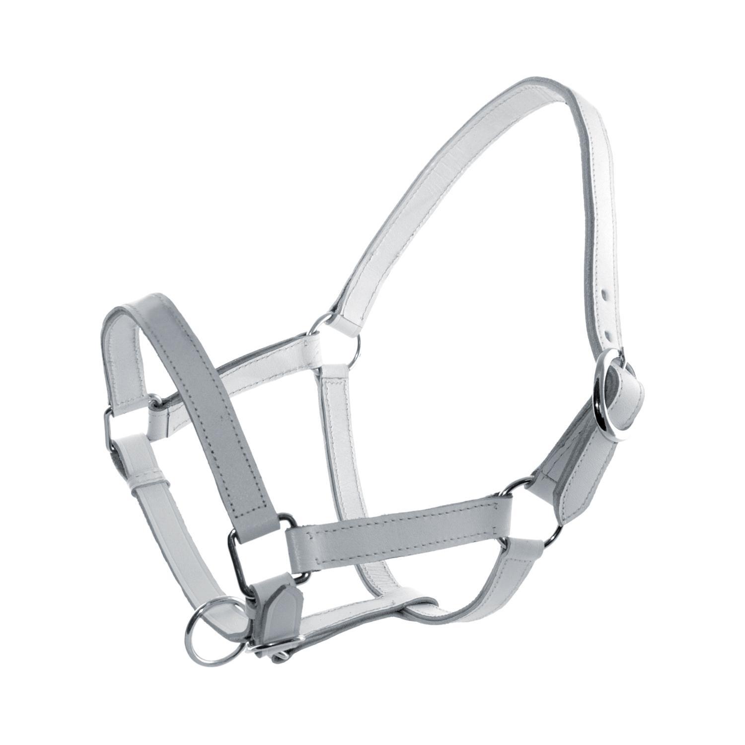 product/d/e/derby_ca00102-white_white_1.jpg